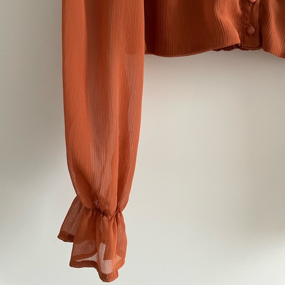 Sheer Long Sleeve Crop Top - Picture 4 of 6